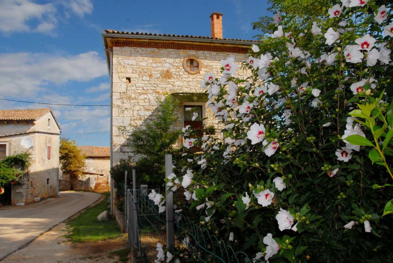 Nature House Jasenka Nova Vas  Dış mekan fotoğraf